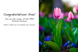 pink tulips Richardson Texas portrait photography