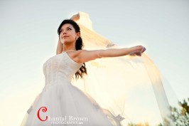 sun flare bridal portrait session Plano wedding photographer