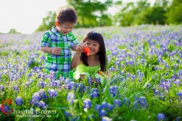 Frisco Bluebonnets Children Portrait Photography