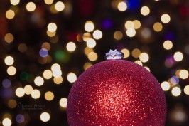 Wedding rings on Christmas red sparkling ornament with lights behind Murphy Texas Portrait Photographer