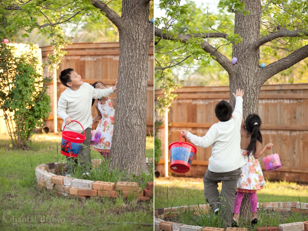 Easter-Egg-Hunt-hidden-in-tree-Lawton-OK Easter-Egg-Hunt-hidden-in-tree-Lawton-OK