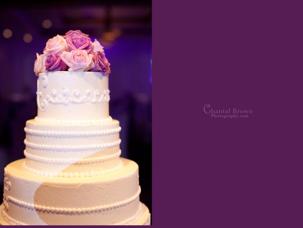 wedding cake Fancy Cakes by Lauren Arlington Texas with roses wedding cake Fancy Cakes by Lauren Arlington Texas with roses