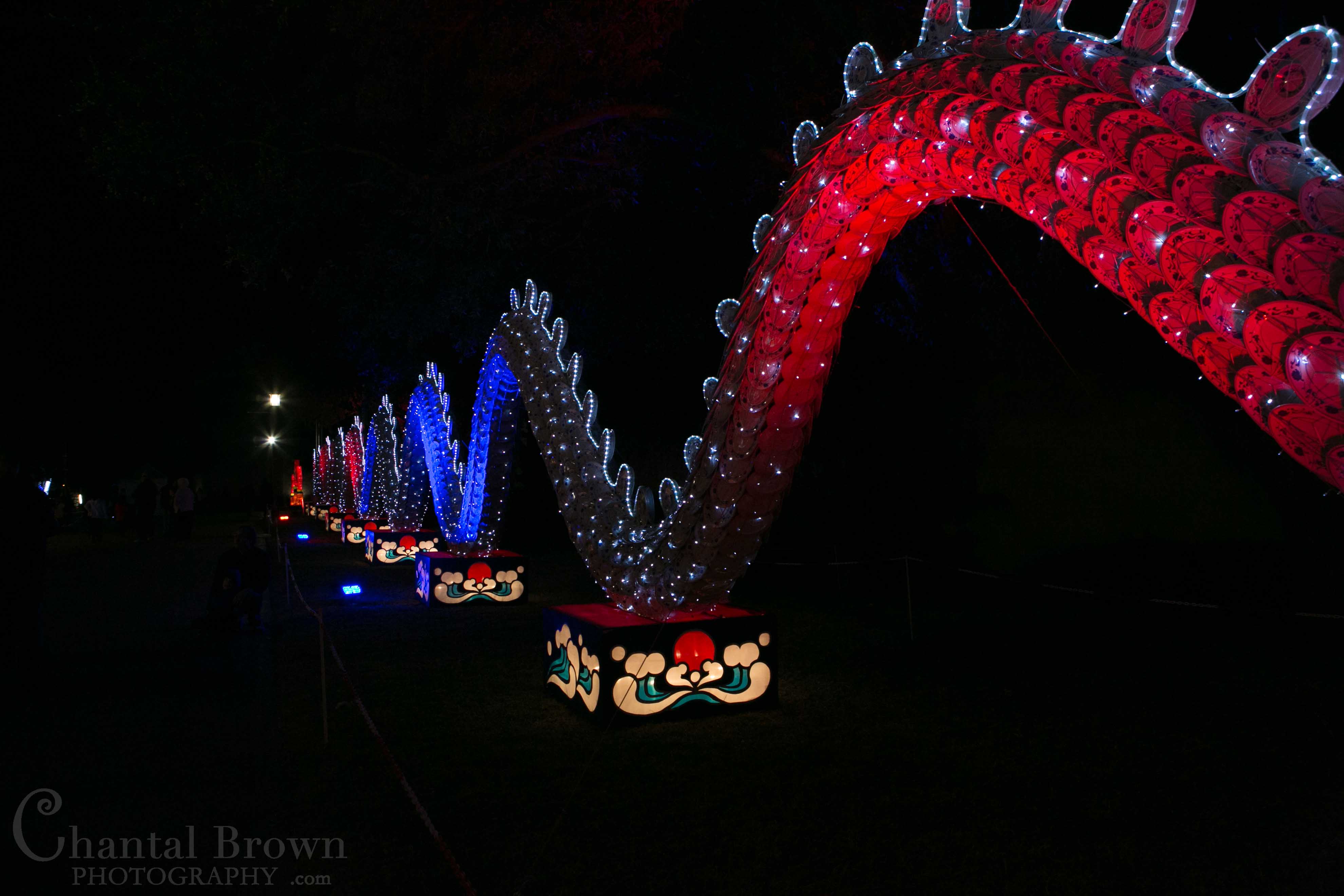 Dragon tail Colorful lights at Chinese Lantern Festival in Dallas Fair Park Photographer