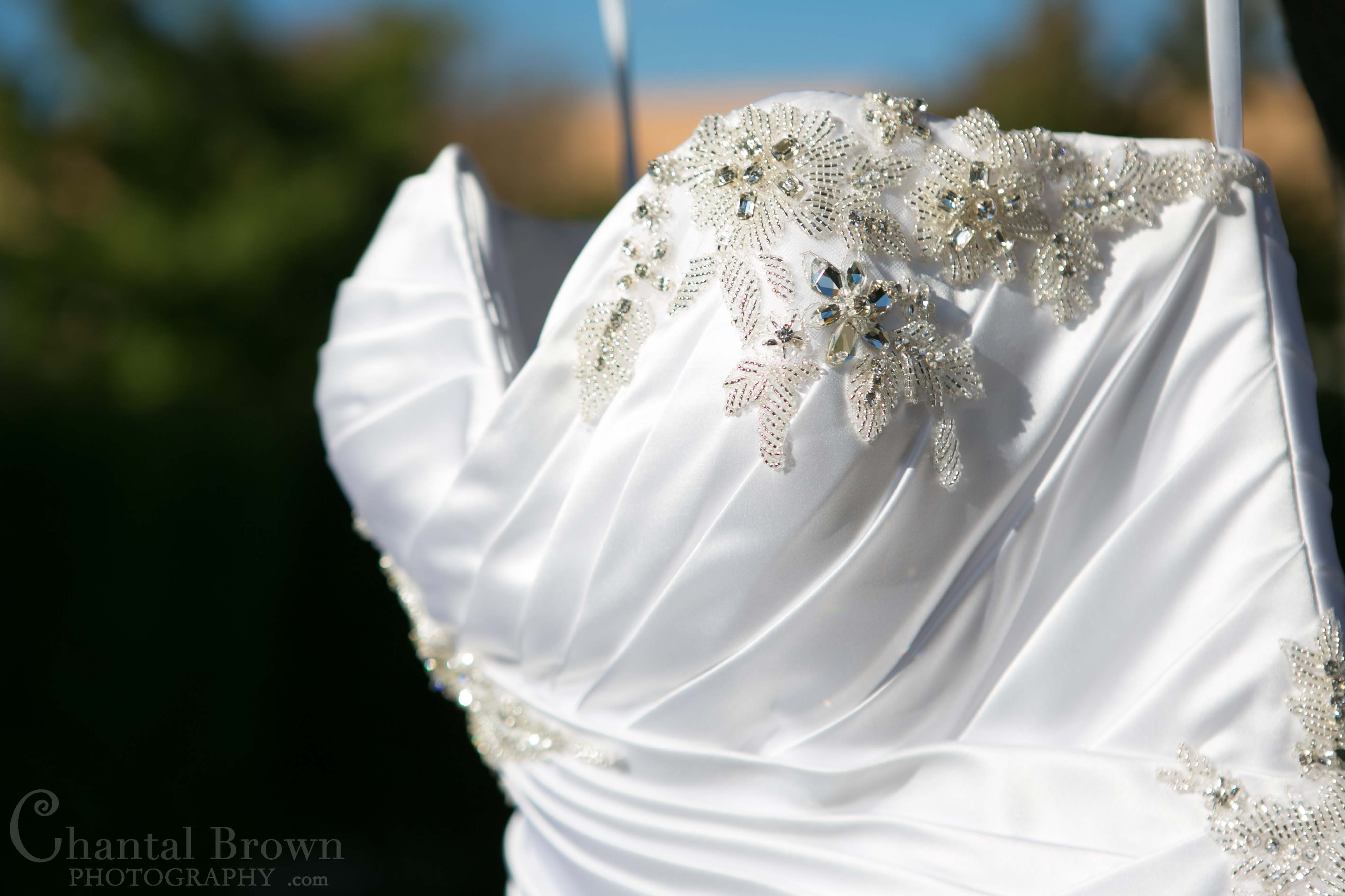 Terry Costa wedding gown at Royal Lane Church wedding ceremony in Dallas Wedding Photographer