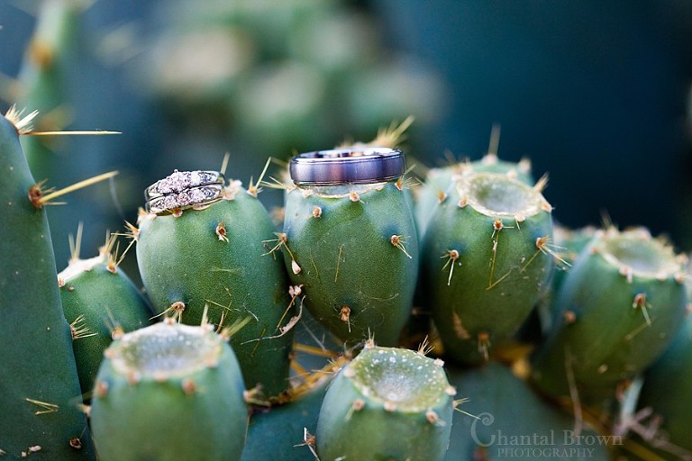 wedding rings on cactus in Lawton Oklahoma wedding at Grey Stone wedding Chapel