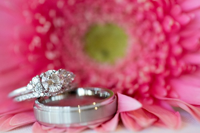 plano-wedding-rings-on-pink-daisy-flowers