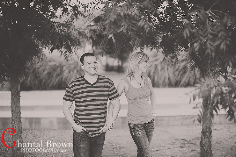 Avignon-Windhaven-Courtyard-Grass-Plano