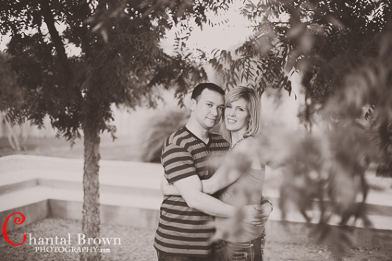 Avignon-Windhaven-Courtyard-Tree-Plano