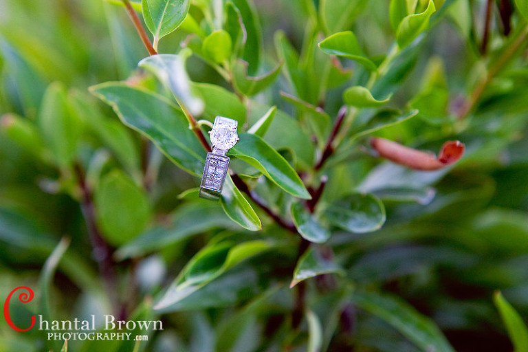 Avignon-Windhaven-Plano-Engagement-Ring