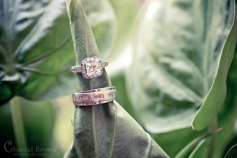Dallas Ft Worth Cambodian Wedding diamond wedding rings on green plants
