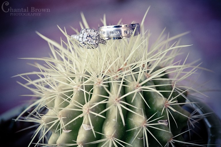 Dallas Ft Worth Cambodian Wedding diamond rings on cactus
