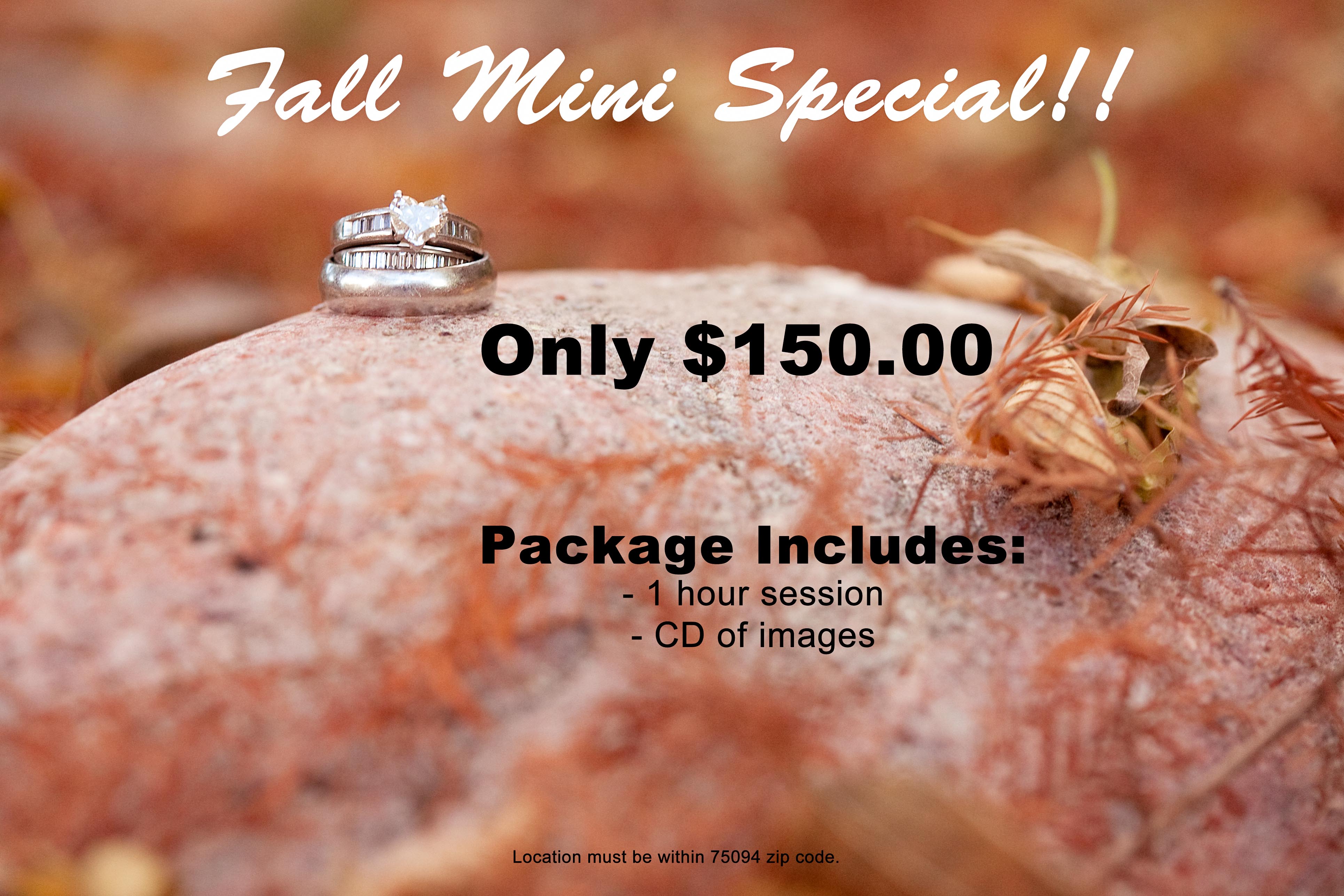 Fall Mini Special session