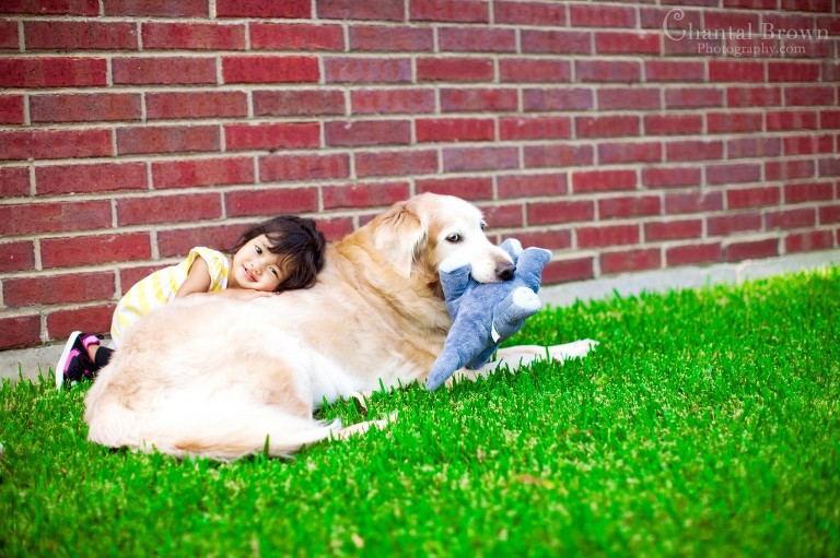 baby portrait hugging and loving her dog golden retriever