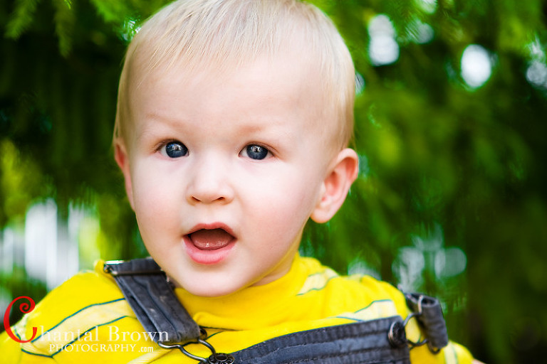 green grass beautiful tree portrait