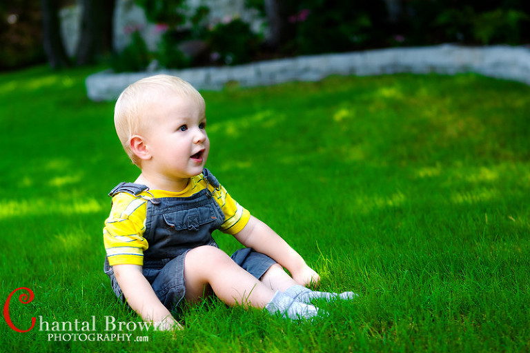 setting on luxury grass portrait