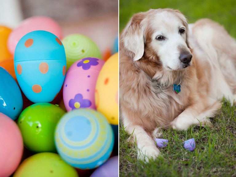 Easter-Egg-Hunt-Lawton-OK