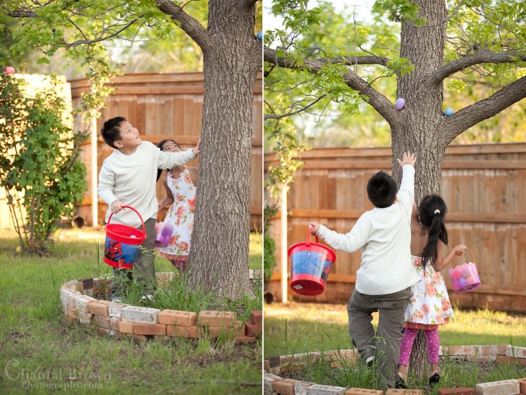 Easter-Egg-Hunt-hidden-in-tree-Lawton-OK