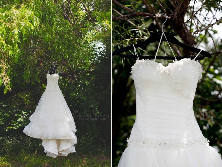 Broadway-Fashionista-David-Tutera-wedding-dress on tree branch outside Holy Family Catholic Church in Lawton Oklahoma