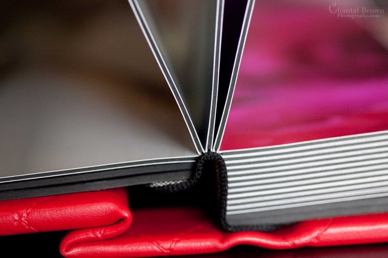 Fine  red leather Wedding-Album UV coated prints mounted on thick pages split binding in Dallas