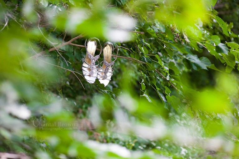 wedding shoes on tree branch outside of  Holy Family Catholic Church Lawton Oklahoma