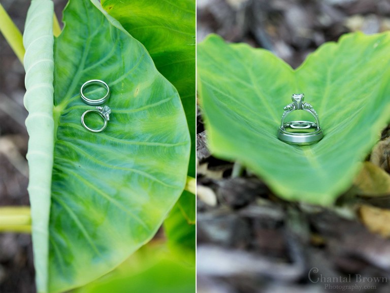 wedding rings on big green taro leaves in Lawton Country Club Golf Course Oklahoma