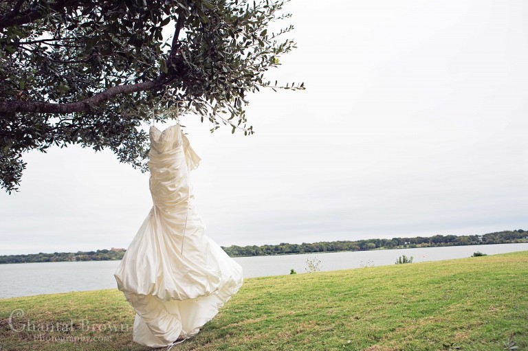 Mermaid wedding dress on tree by Dallas Filter building with lake view