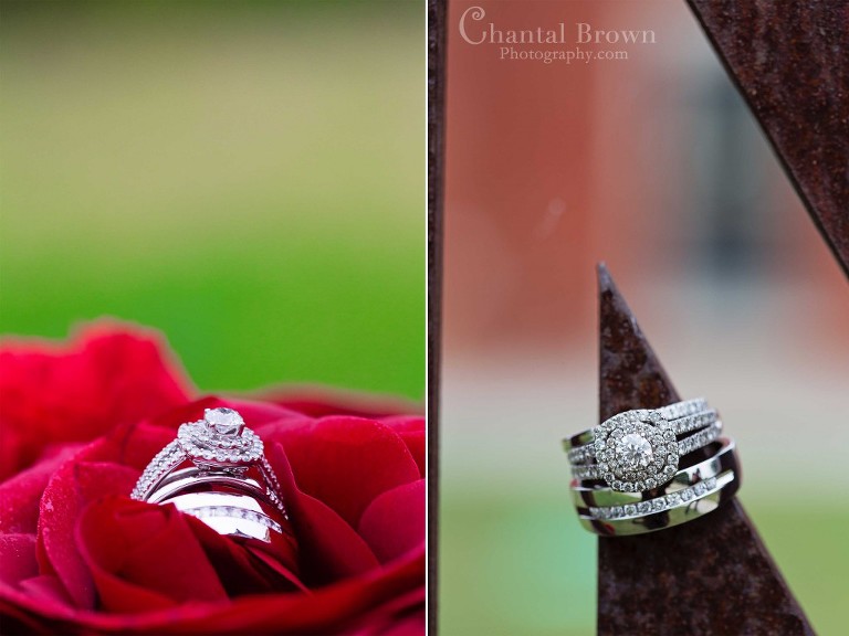 Diamond wedding rings on red rose and Dallas Filter Building Sign