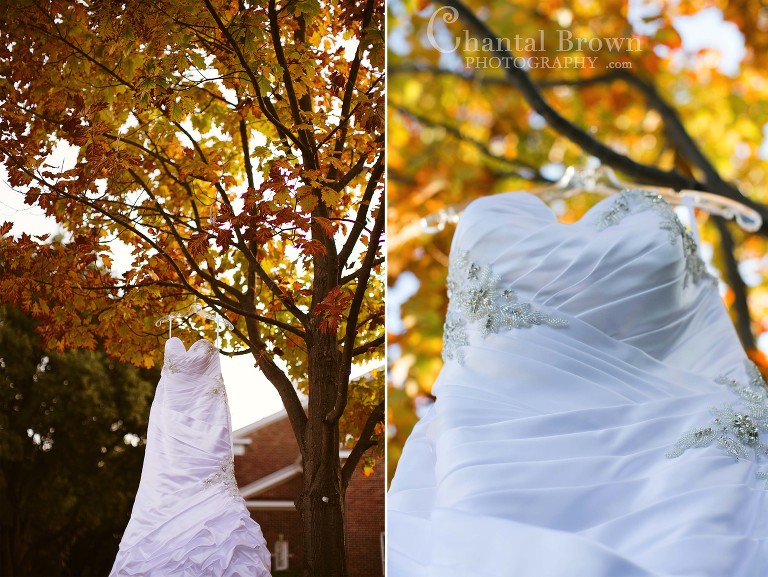 Terry Costa wedding dress by Allure Bridal Dress on colorful Autumn tree at Royal Lane Church in Dallas Photographer