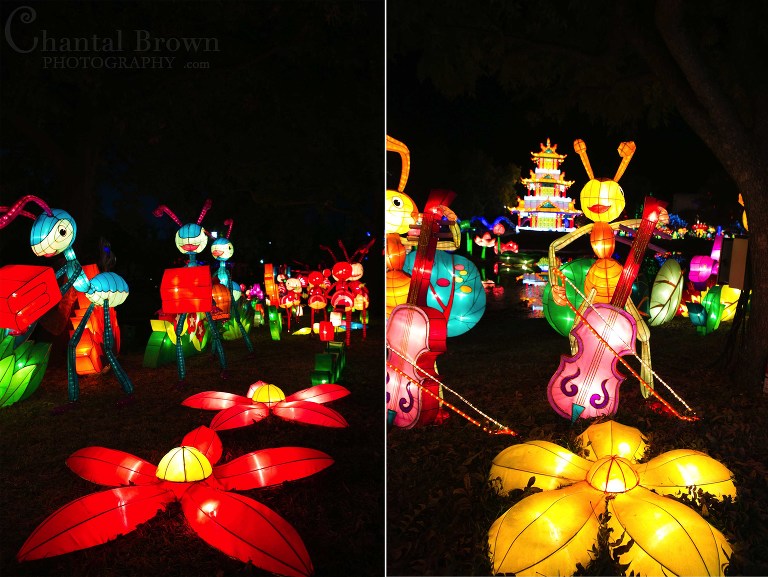 Gorgeous colorful lights of ants playing music in flowers at Chinese Lantern Festival in Dallas Fair Park Photographer