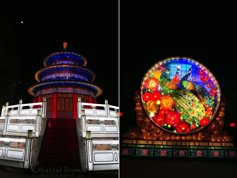 Amazing light house Chinese Lantern Festival in Dallas Fair Park Photographer