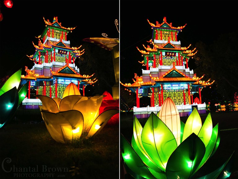 Chinese castle stunning and lotus flowers lights Colorful lights at Chinese Lantern Festival in Dallas Fair Park Photographer