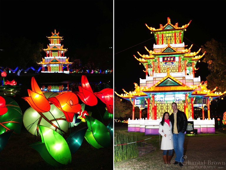 Chinese castle stunning and lotus flowers lights Colorful lights at Chinese Lantern Festival in Dallas Fair Park Chantal Photographer