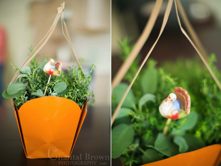 Beautiful basket of herbs rosemary and sage for Thanksgiving dinner in Murphy Texas portrait photographer
