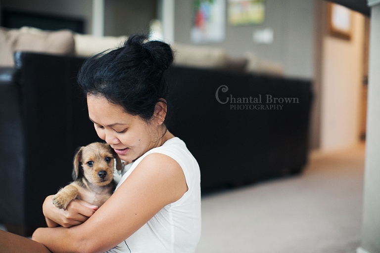 rescued dog dallas portrait photographer chantal brown photo