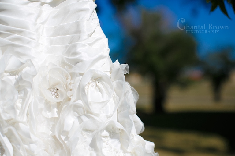 Lawton Fort Sill OK Military Wedding dress from David's Bridal