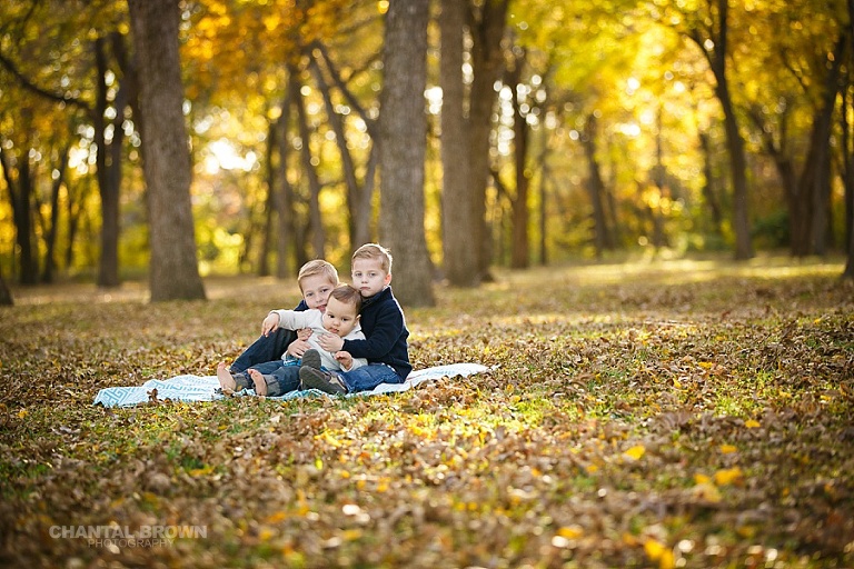 The best children family pictures taken at Plano park in the fall with beautiful yellow leaves and trees taken by Chantal Brown Photography